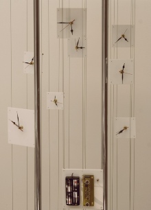 Clocks